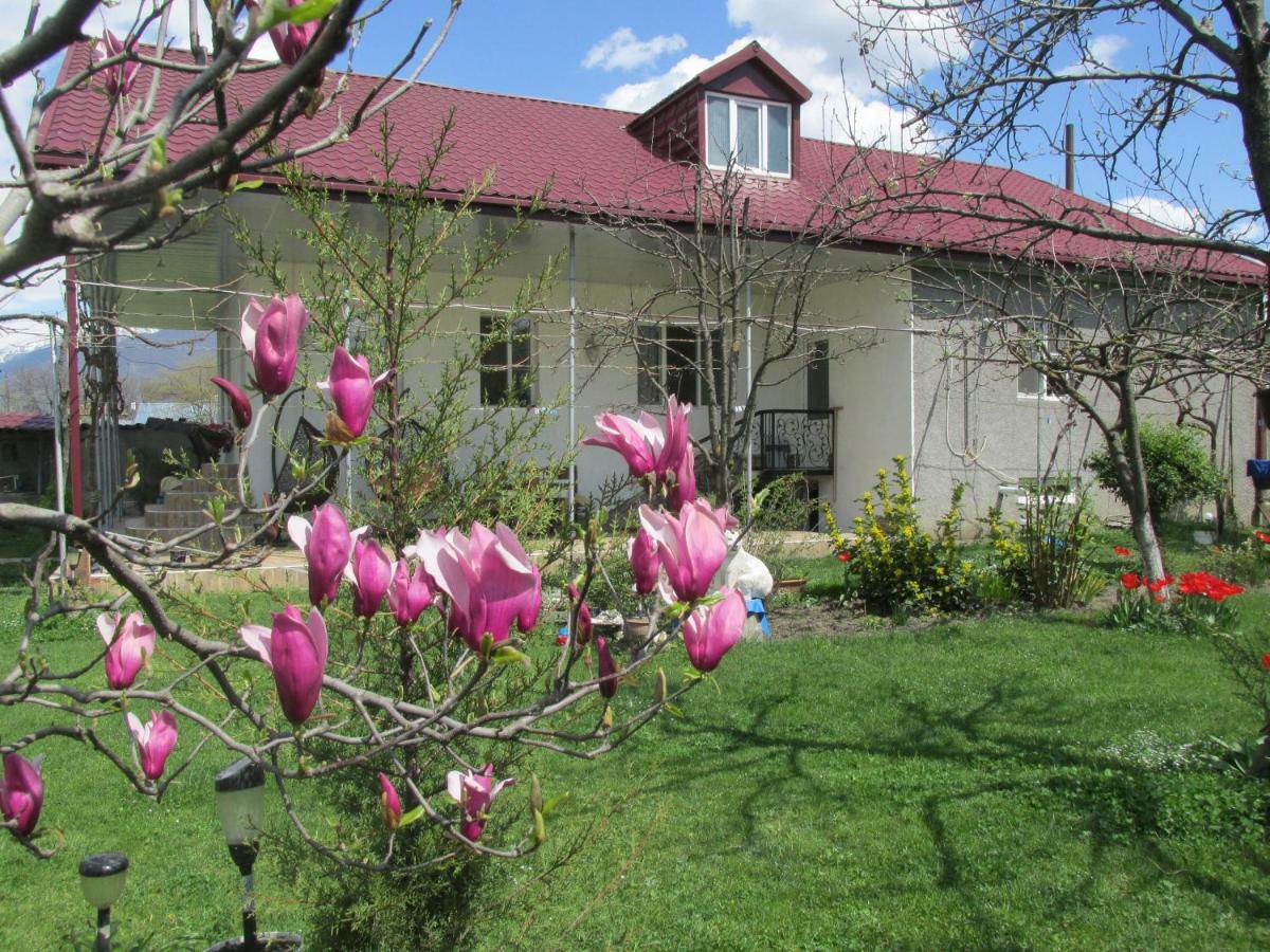 Guest House Melissa Duisi Kültér fotó